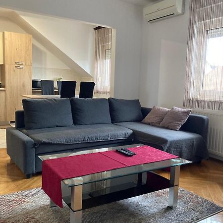 Apartments "Pavic" Near Zagreb Airport Велика-Горица Экстерьер фото